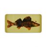Flowerfish Long Tray Gangzai