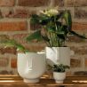 Planter and Vase Face Räder