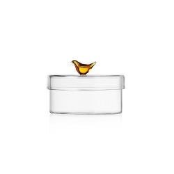 Glass Bird Box Ichendorf