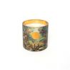 La Vie Sauvage Scented Candle Pineapple