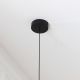 Black Electrification for Forget Me Not Umage