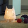 Led cat Zoo lamp and Night Light