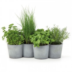 Little herbs concret pot PotPot by Konstantin Slawinski